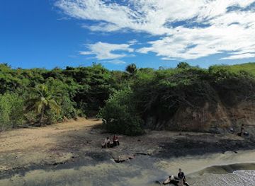puerto-rico/vieques/attraction/black-sand-beach