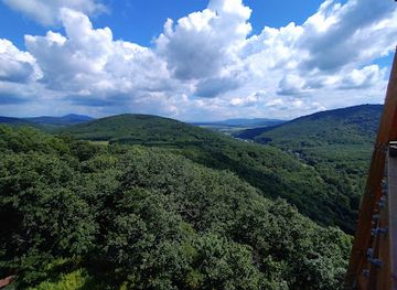 hungary/borzsony-mountains/attraction/kiralyret-forest-railway