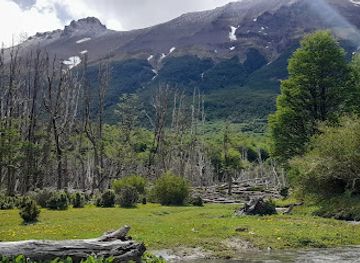 argentina/tierra-del-fuego-national-park/attraction/cascada-del-rio-pipo