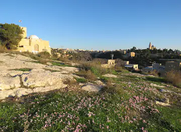Bible Hill