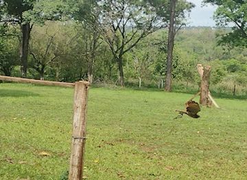 brazil/foz-do-iguacu/attraction/foz-eco-park-zoo