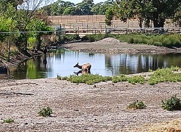 australia/grampians/attraction/halls-gap-zoo