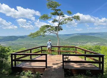 maryland/green-ridge-state-forest/attraction/zumbrun-overlook