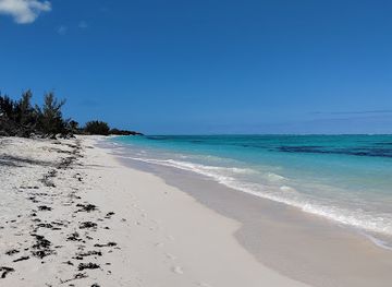 Pelican Beach