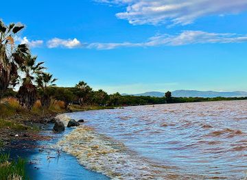 ethiopia/lake-langano/attraction/wata-camping