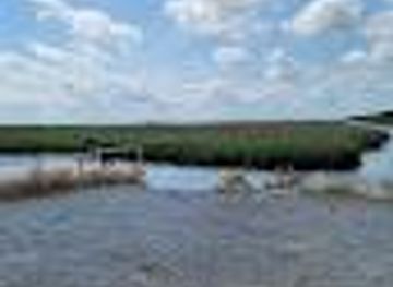 texas/port-arthur/attraction/blue-crab-recreation