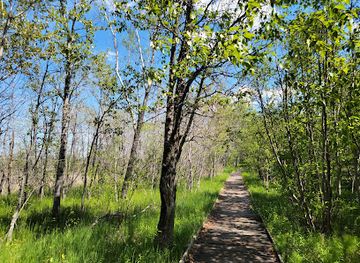 minnesota/arrowhead-region/attraction/grassy-point