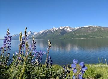montana/yellowstone-national-park/attraction/jackson-lake-overlook