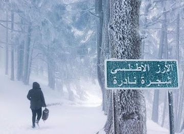 algeria/chrea-national-park/attraction/al-janan