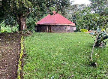 cameroon/banyang-mbo-wildlife-sanctuary/attraction/mbouroukou