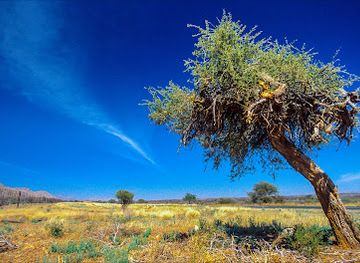 namibia/okahandja/attraction/okahandja-windhoek-rest-bay-1