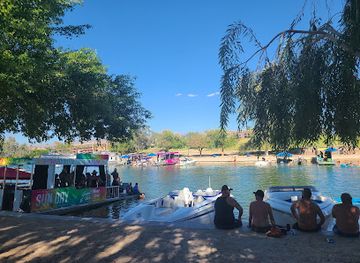arizona/lake-havasu-city/attraction/lions-dog-park