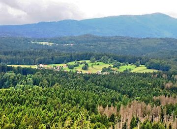 germany/bavarian-forest-national-park/attraction/baumwipfelpfade