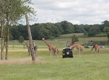 united-kingdom/bedfordshire/attraction/go-ape-woburn