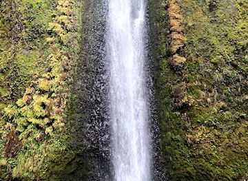 washington/columbia-river-gorge/attraction/gorton-creek-falls