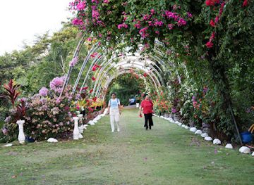 samoa/vaisigano/attraction/ala-o-le-alofa-the-path-of-love