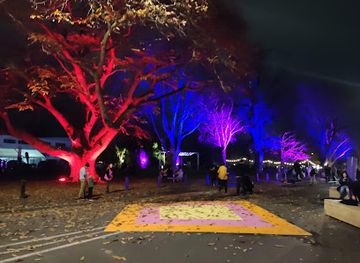 new-zealand/hamilton/attraction/hinemoa-park