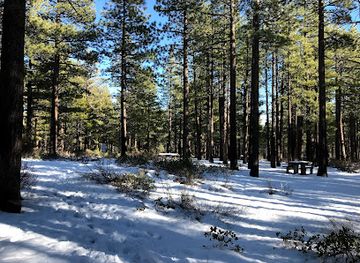 nevada/washoe-county/attraction/galena-creek-recreation-area