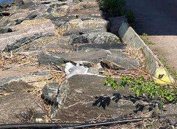 sweden/gothenburg-archipelago/attraction/goteborgs-fiskhamnen