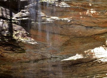 north-carolina/pisgah-national-forest/attraction/moore-cove-falls-trail