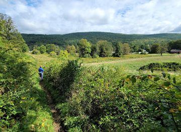 massachusetts/berkshires/attraction/tyringham-cobble-park
