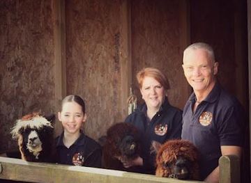 united-kingdom/sheffield/attraction/naze-view-farm-alpaca-experience