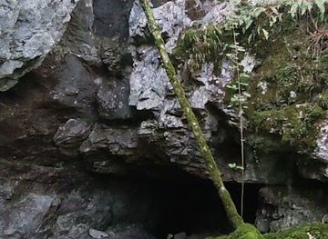 slovenia/sezana/attraction/pecina-pod-medvejkom-949