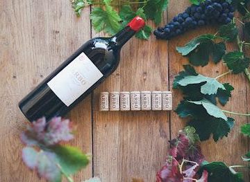 france/bordeaux-wine-region/attraction/chateau-arbo