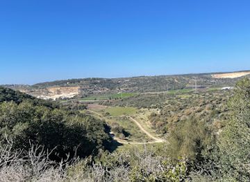 israel/zikhron-ya-akov/attraction/horshan-mountain-reserve