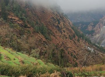 india/valley-of-flowers-national-park/attraction/dadmi-ganai