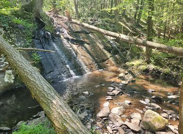 new-jersey/high-point-state-park/attraction/stokes-state-forest