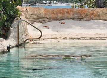 the-bahamas/andros-island/attraction/the-santuary