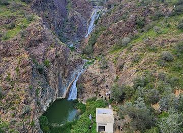 saudi-arabia/al-baha/attraction/khairah-forest-park
