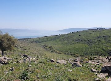 israel/galilee-region/attraction/korazim-national-park
