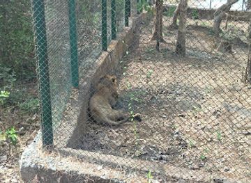 india/konkan-coast/attraction/tiger-and-lion-safari-ticket-counter