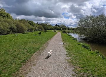 united-kingdom/staffordshire/attraction/doxey-marshes
