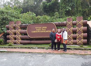 malaysia/pahang/attraction/kampung-taman-sedia