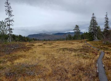 norway/nord-trondelag/attraction/norways-geographical-center-point