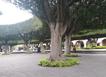Principal de CELAYA, GTO. Garden