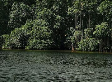 gabon/congo-basin/attraction/akanda-national-park
