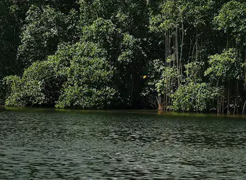 Akanda National Park