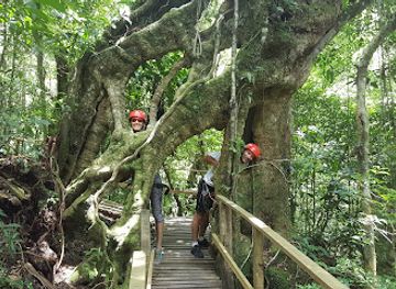 costa-rica/sarapiqui/attraction/canopy-adventure-volcan-barva