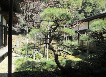 japan/yamanashi/attraction/daishinji-shoin-teien