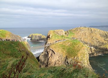 united-kingdom/giant's-causeway/attraction/the-dark-hedges