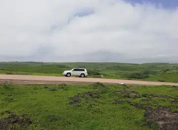 View Point