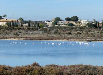 spain/murcia/attraction/salines-de-santa-pola