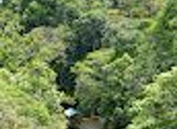malaysia/sandakan/attraction/trogon-tower