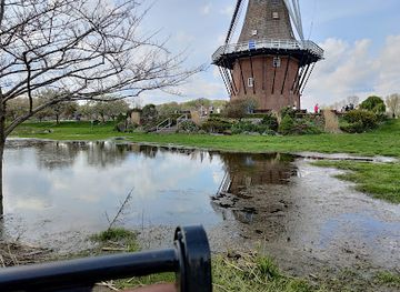 michigan/holland-state-park/attraction/de-zwaan