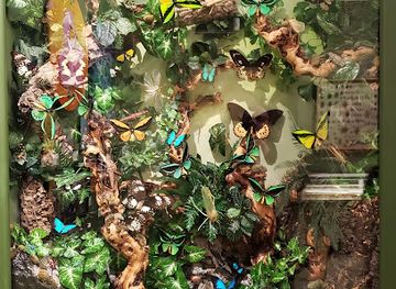 new-jersey/jersey-shore/attraction/insectropolis