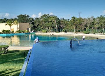 mexico/riviera-maya/attraction/dolphinaris-riviera-maya